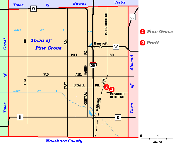 Pine Grove Township map